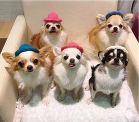 imToken钱包安卓版